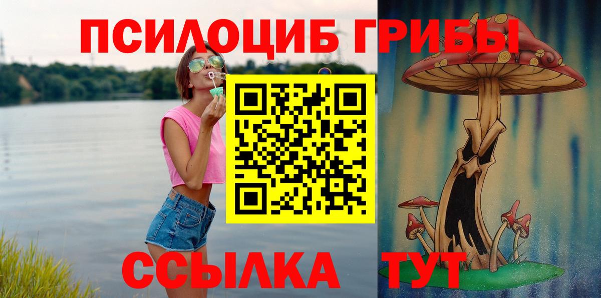 Псилоцибиновые грибы Psilocybe Пыть-Ях